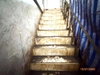 listing thumbnail image 24