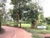 listing thumbnail image 10
