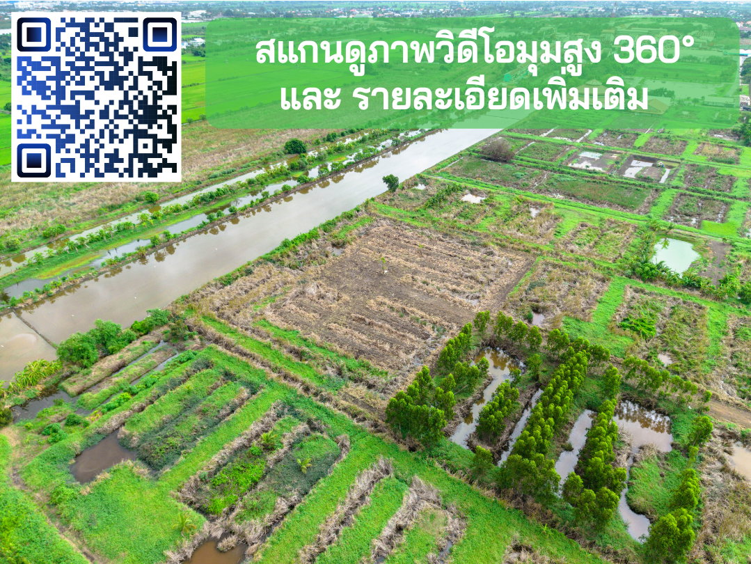 รูป ขายที่ดิน ลาดกระบัง-สนามบินสุวรรณภูมิ ใกล้Siam Premium Outlets เพียง 3 กม. (ซอยติดกับตลาดเทิดไท) - รูปที่ 14/22