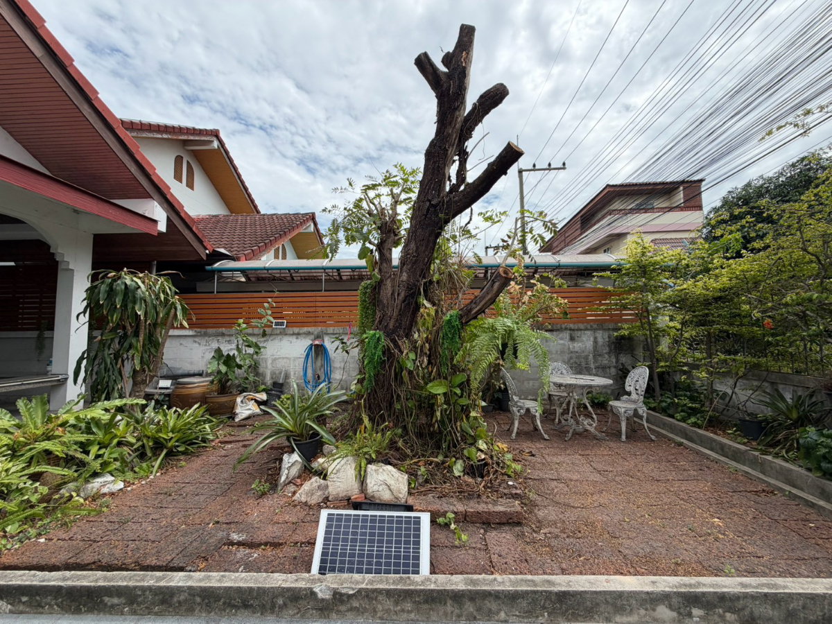 รูป ให้เช่าบ้านเดี่ยว หมู่บ้านเสม็ดทองธานี  - รูปที่ 16/16