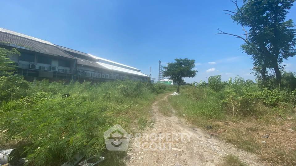 รูป ที่ดินขาย ราชาเทวะ บางพลี ใกล้สนามบินสุวรรณภูมิ (ID 3106655) - รูปที่ 4/6