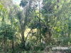 listing thumbnail image 44