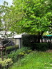 listing thumbnail image 11