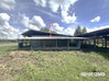 listing thumbnail image 21