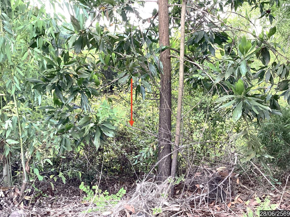 รูป ที่ดินว่างเปล่า 1358 ตร.วา พรรณานิคม สกลนคร 1.1M - รูปที่ 16/21