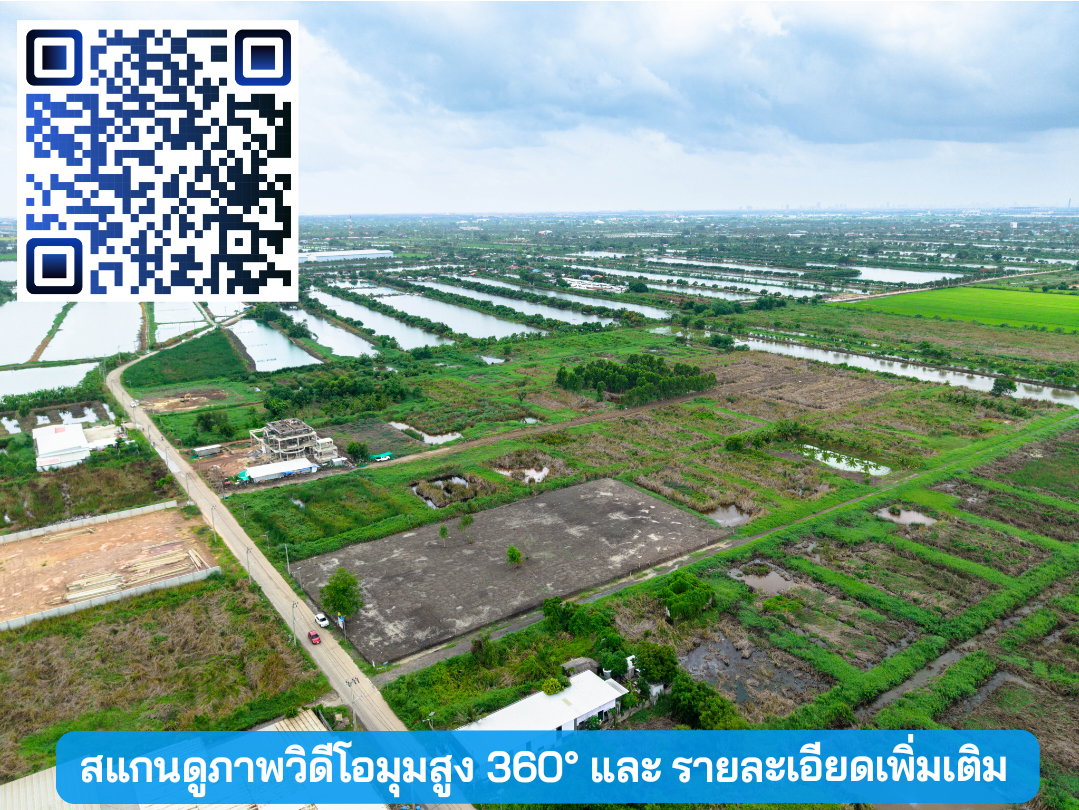 รูป ขายที่ดิน ลาดกระบัง-สนามบินสุวรรณภูมิ ใกล้Siam Premium Outlets เพียง 3 กม. (ซอยติดกับตลาดเทิดไท) - รูปที่ 11/22