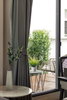 listing thumbnail image 26
