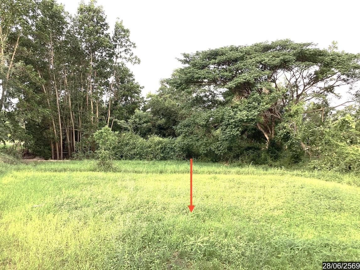 รูป ที่ดินว่างเปล่า 1358 ตร.วา พรรณานิคม สกลนคร 1.1M - รูปที่ 13/21