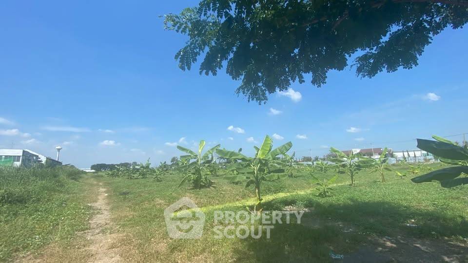 รูป ที่ดินขาย ราชาเทวะ บางพลี ใกล้สนามบินสุวรรณภูมิ (ID 3106655) - รูปที่ 6/6