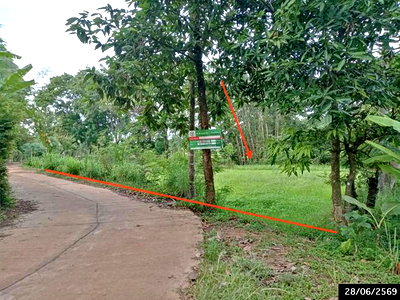 ที่ดิน พรรณานิคม สกลนคร : ที่ดินว่างเปล่า 1358 ตร.วา พรรณานิคม สกลนคร 1.1M
