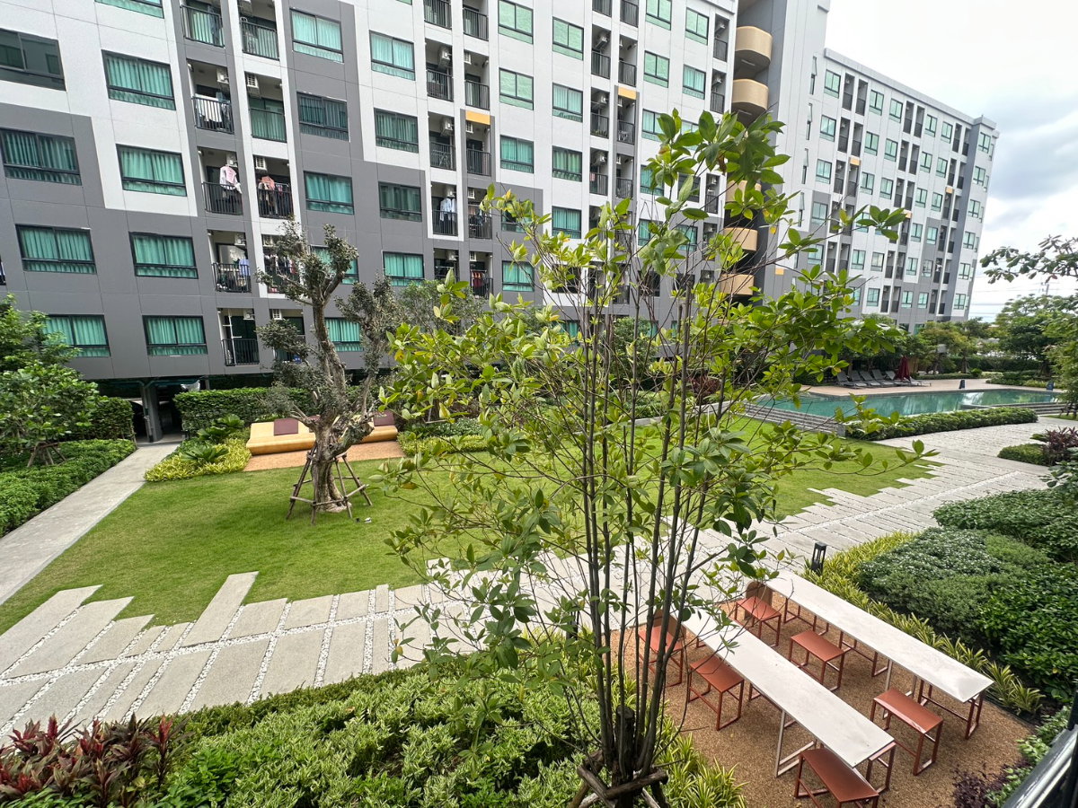 รูป เวย์อมตะ ใกล้นิคมอมตะ ชลบุรี เริ่มล้านต้นๆ  - รูปที่ 10/11