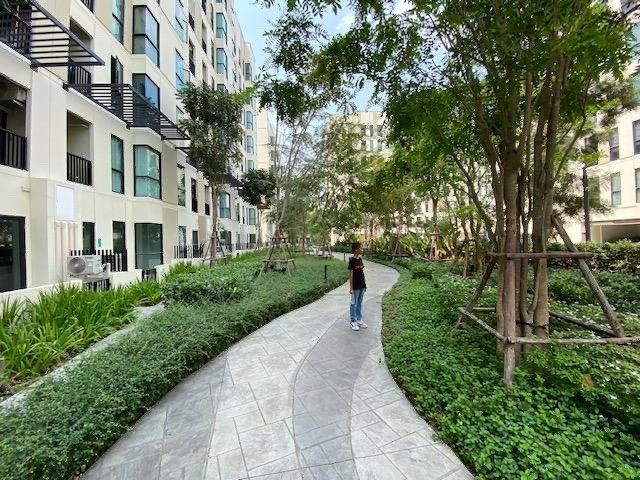 picture For Rent Condo UNio Sukhumvit 72 Phase 2 - 15/18