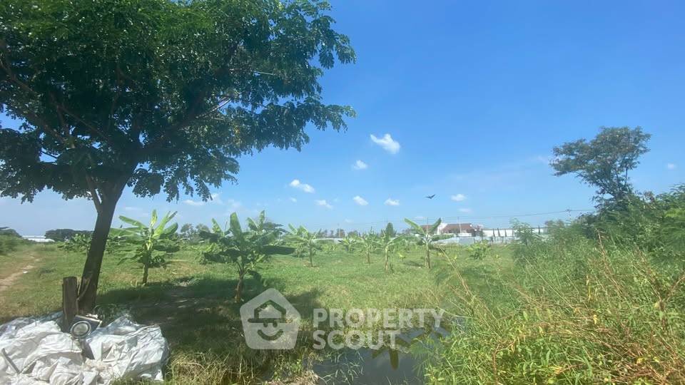 รูป ที่ดินขาย ราชาเทวะ บางพลี ใกล้สนามบินสุวรรณภูมิ (ID 3106655) - รูปที่ 5/6