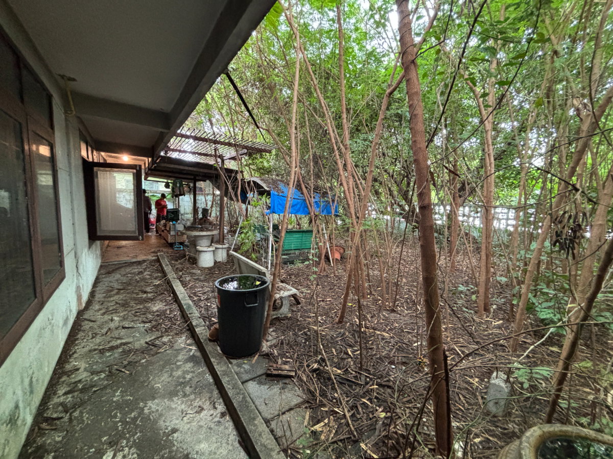 รูป ถูกที่สุด หมู่บ้านสหกรณ์เคหสถาน 4 ซอย 8 100ต.ร.ว. 💰 6ล้านบาท - รูปที่ 3/4
