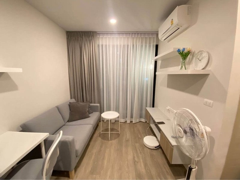 รูป A050243 Brixton Pet & Play Sukhumvit 107 - รูปที่ 8/8