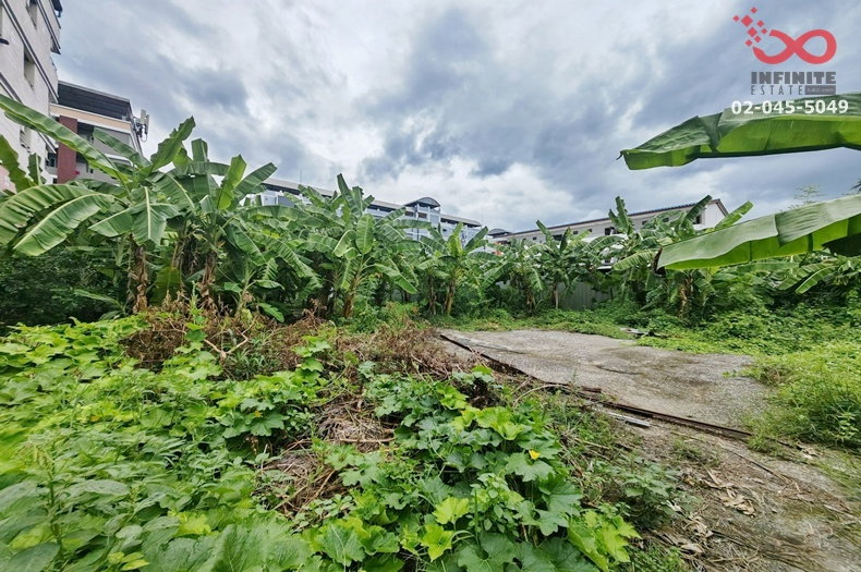 รูป ขายที่ดินถมแล้ว 201 ตร.ว. ซอยแจ้งวัฒนะ-ปากเกร็ด 26  ข้างเซ็นทรัล แจ้งวัฒนะ ทำเลดี ใกล้รถไฟฟ้าและทางด่วน  - รูปที่ 6/8