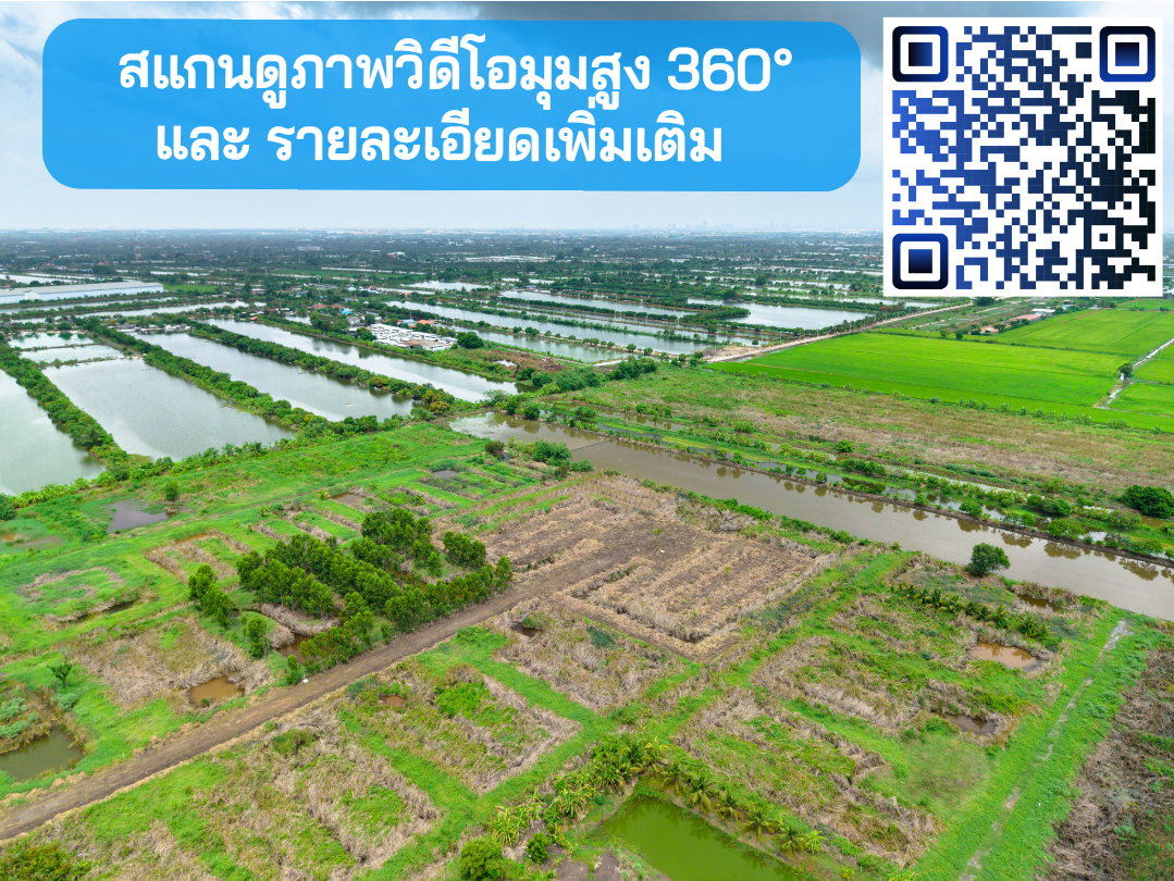 รูป ขายที่ดิน ลาดกระบัง-สนามบินสุวรรณภูมิ ใกล้Siam Premium Outlets เพียง 3 กม. (ซอยติดกับตลาดเทิดไท) - รูปที่ 16/22