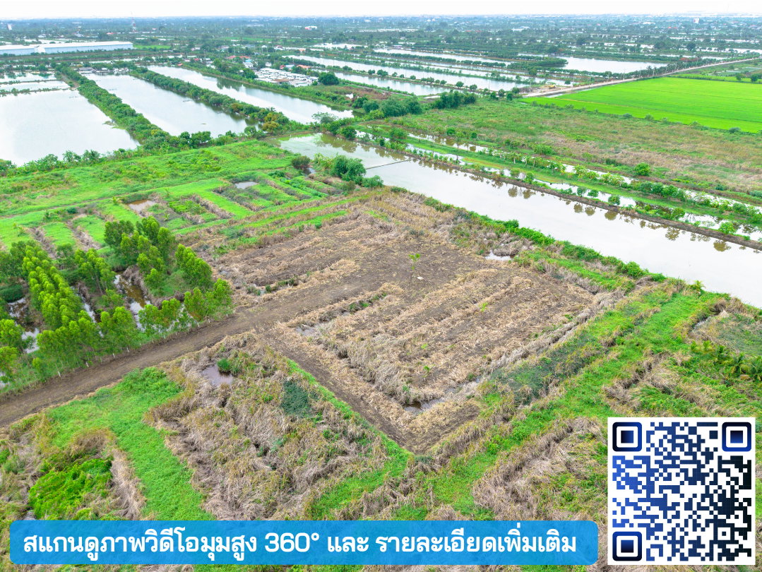 รูป ขายที่ดิน ลาดกระบัง-สนามบินสุวรรณภูมิ ใกล้Siam Premium Outlets เพียง 3 กม. (ซอยติดกับตลาดเทิดไท) - รูปที่ 10/22