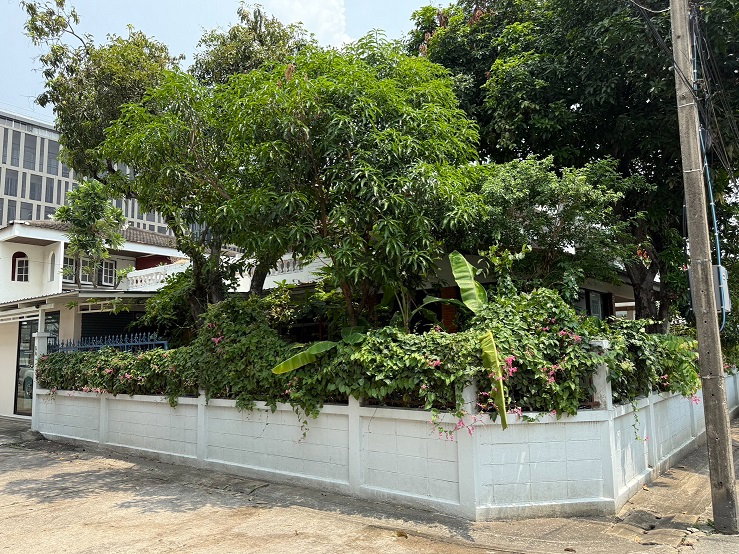 รูป ขายบ้านเดี่ยว ย่านสะพานควาย หมู่บ้านจตุรมิตร ซอยประดิพัทธ์ 15 - รูปที่ 2/5