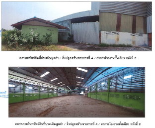 รูป โรงงาน ถนนมาลัยแมน (ทล 321) 8-1-93 ไร่ พื้นที่ใช้สอย: 4394.5 ตร.ม. - รูปที่ 6/8