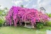 listing thumbnail image 18