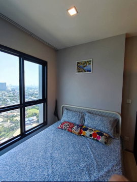 The Politan Rive  for rent ✨ Fully furnished