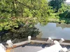 listing thumbnail image 31