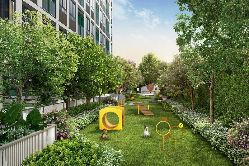 picture The Muve Paw – Pet-Friendly Condominium - 12/13