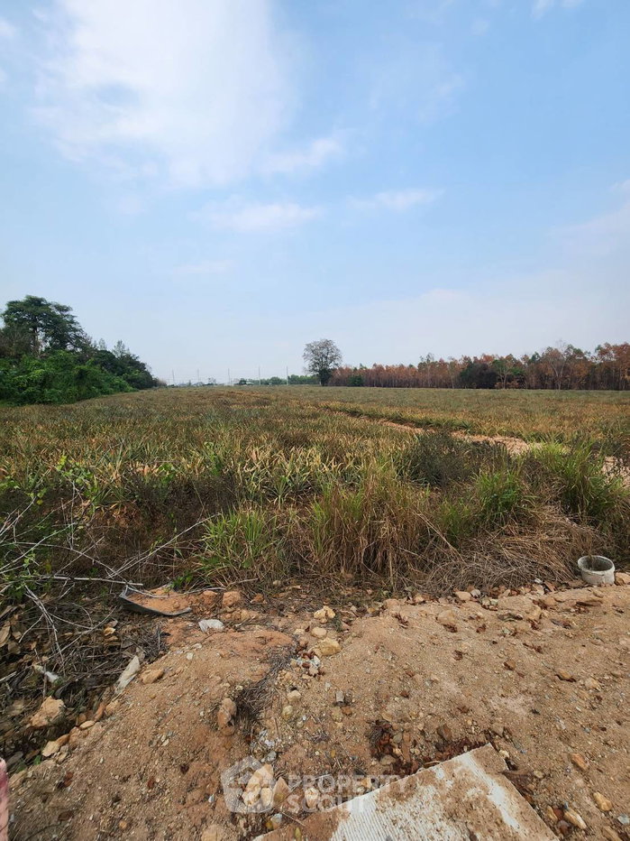 รูป ขายที่ดินทำเลพัทยา หนองปรือ บางละมุง ชลบุรี (ID 3211166) - รูปที่ 2/5